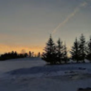 Meet your Posher, Tessa